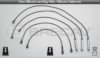 OPEL 1612502 Ignition Cable Kit
